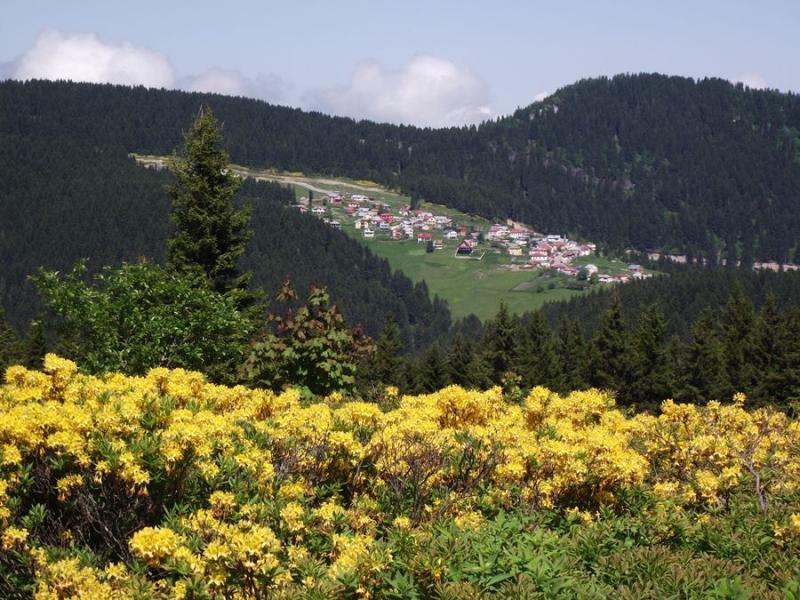 Lüks Karadeniz Turu ( 5 Gece 6 Gün) 