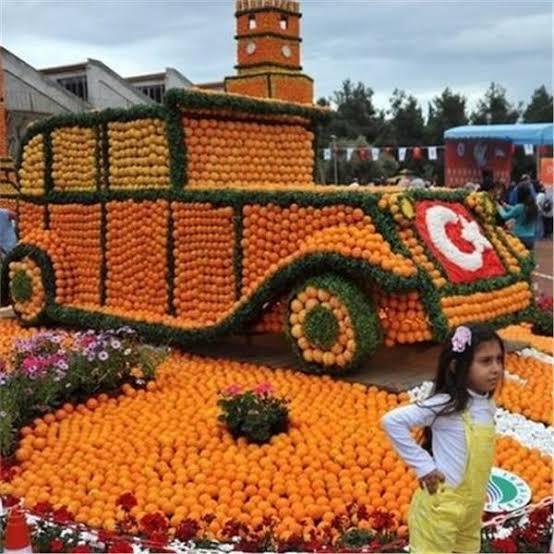 Hatay Çıkışlı Günübirlik Adana Portakal Çiçeği Festivali Turu - Hafta Sonu Turu Cumartesi ve Pazar Günü 